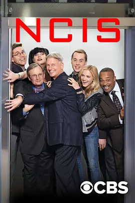 海军罪案调查处 第十四季 NCIS： Naval Criminal Investigative Service Season 14