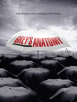 实习医生格蕾 第六季 Grey's Anatomy Season 6