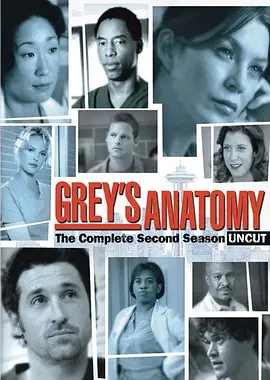 实习医生格蕾 第二季 Grey's Anatomy Season 2