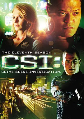 犯罪现场调查第十一季CSI：CrimeSceneInvestigationSeason11