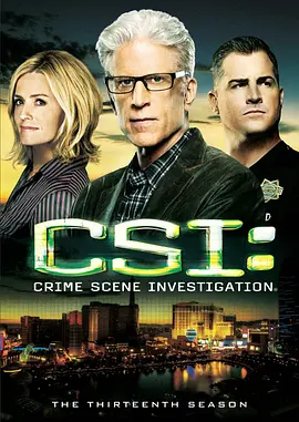 犯罪现场调查第十三季CSI：CrimeSceneInvestigationSeason13