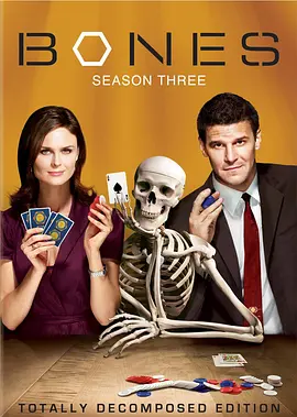 识骨寻踪第三季BonesSeason3