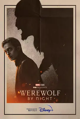 暗夜狼人WerewolfbyNight